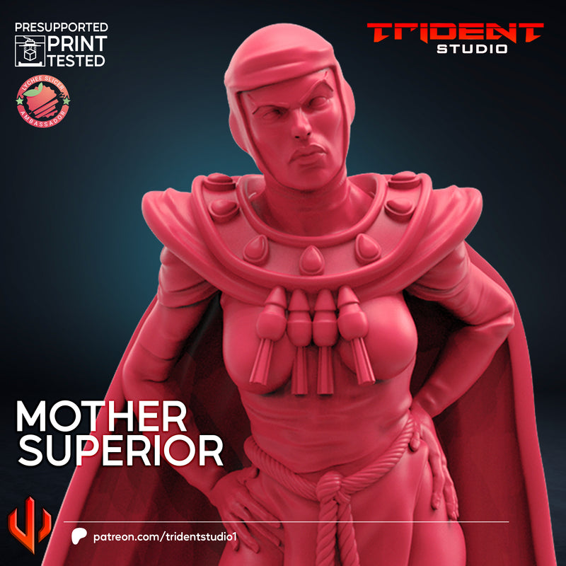 Mother Superior - Marvel: Crisis Protocol Proxy