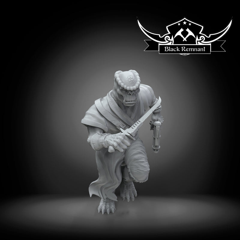 Bodyguard of Blue Admiral- Star Wars Legion Proxy | Black Remnant