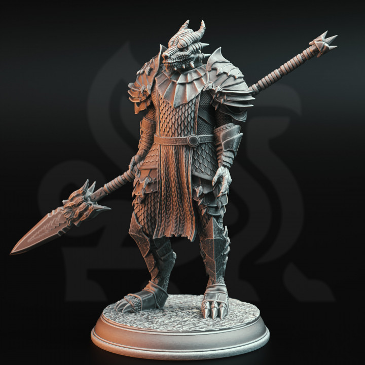 Dragonborn Warriors | DM Stash | DnD | Fantasy Miniature