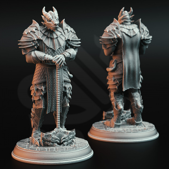 Dragonborn Warriors | DM Stash | DnD | Fantasy Miniature