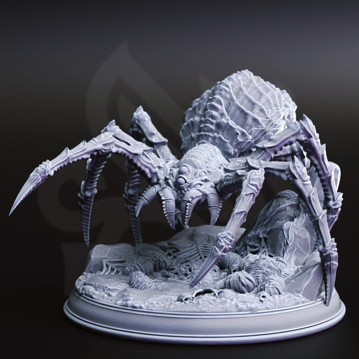 Phase Spider Broodmother - Xylanth | DM Stash | DnD | Fantasy Miniature